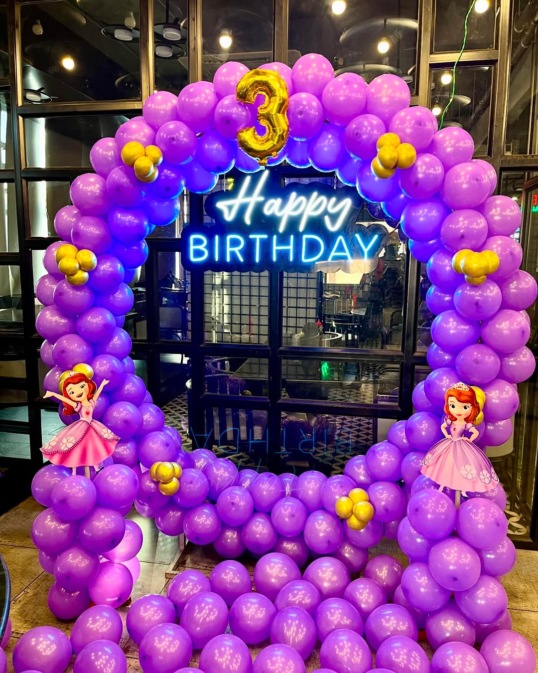 Princess Sofia Themed Birthday Balloon Arch